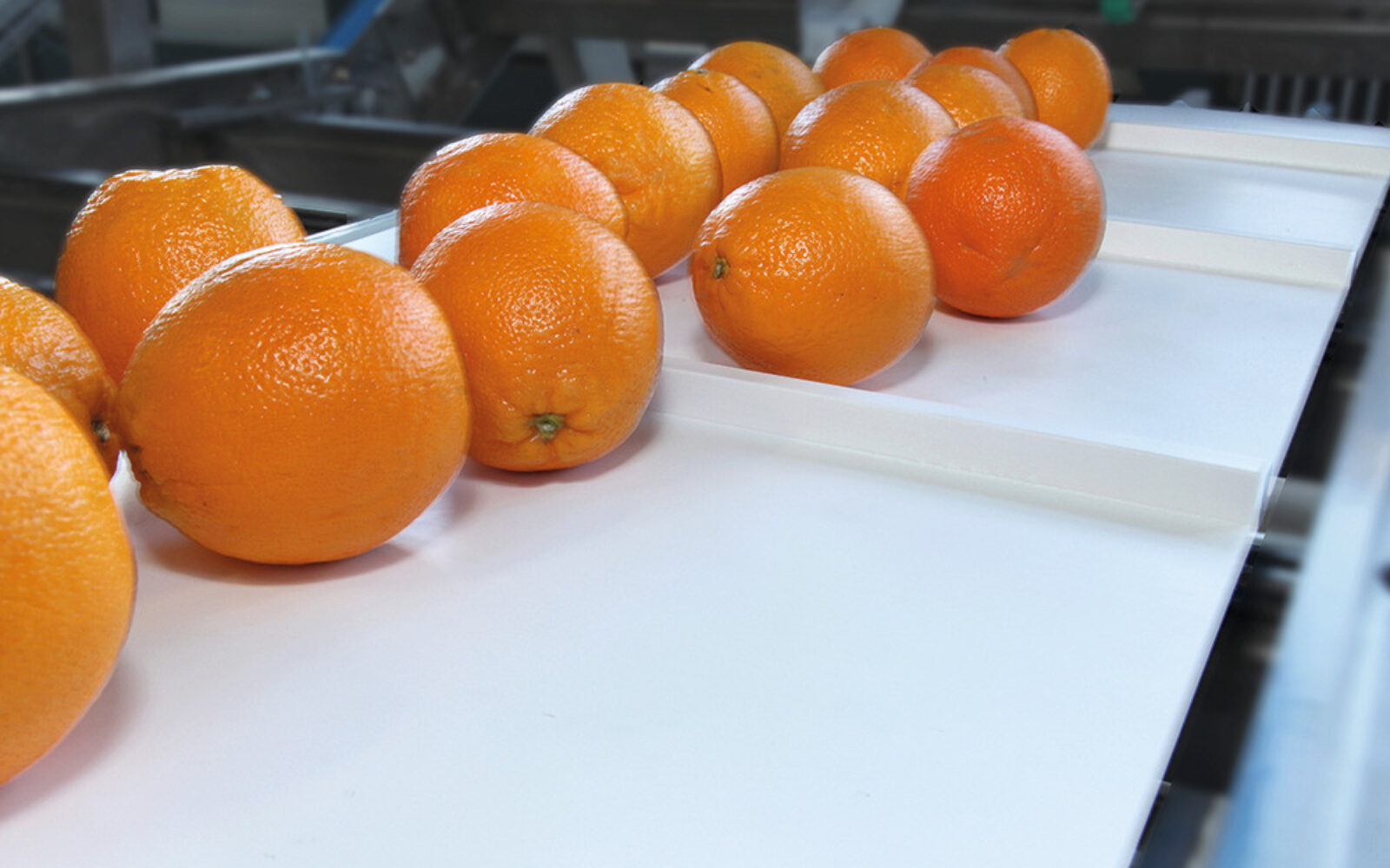 Habasit Habasit supplier image